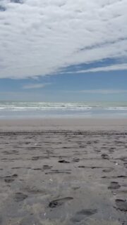 🌊 Feel aligned, feel alive ✨
First visit only $30
Get adjusted and let your body move like the ocean, free, balanced and flowing 🌞💫